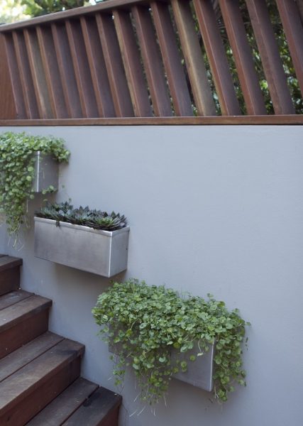 we are bursting with ways to foster your landscaping creativity